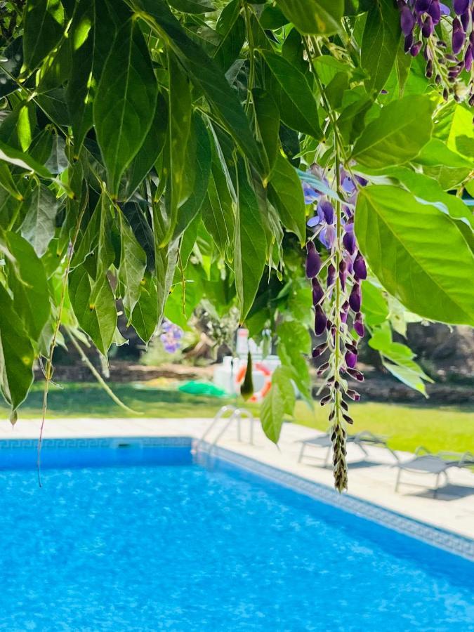 Solar De Alvega Otel Dış mekan fotoğraf